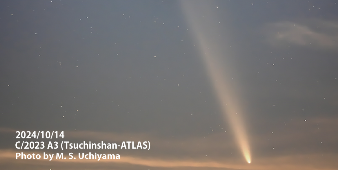 紫金山-ATLAS彗星（C/2023 A3 (Tsuchinshan-ATLAS)）が見頃